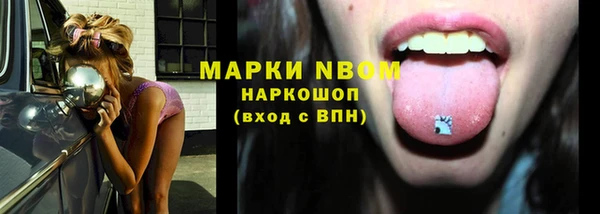 прущие грибы Арсеньев