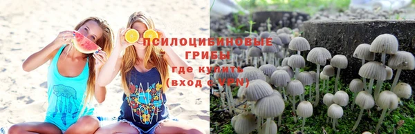 прущие грибы Арсеньев