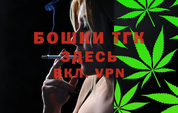 дмт Аркадак