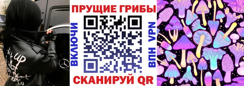 мориарти телеграм  Лыткарино  Галлюциногенные грибы MAGIC MUSHROOMS  магазин продажи наркотиков 